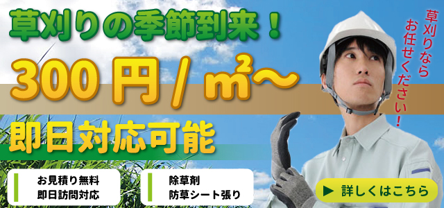 草刈り・草むしり